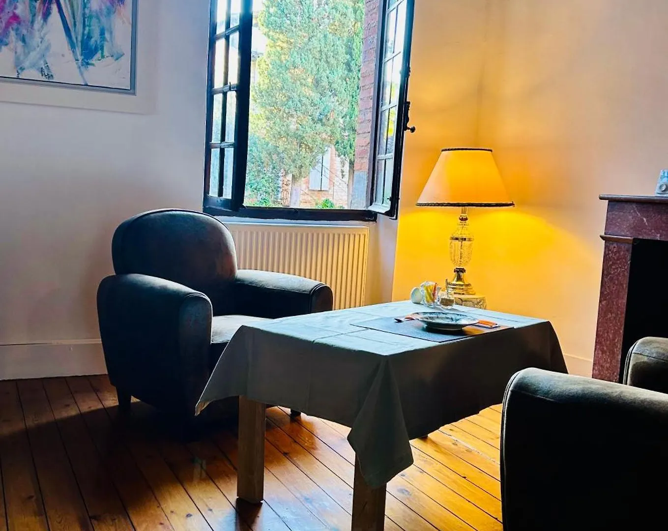 La Maison Du Prevot Albi Guest house