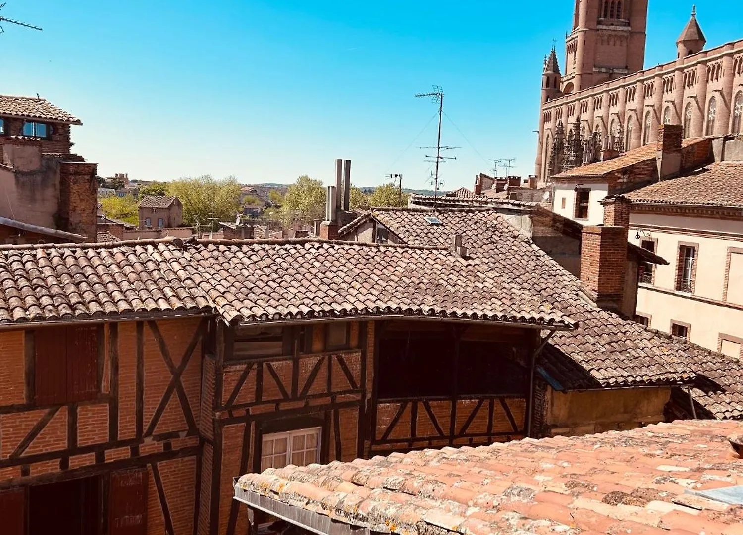 La Maison Du Prevot Albi Guest house