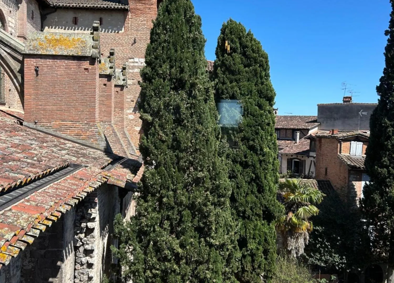 Guest house La Maison Du Prevot Albi